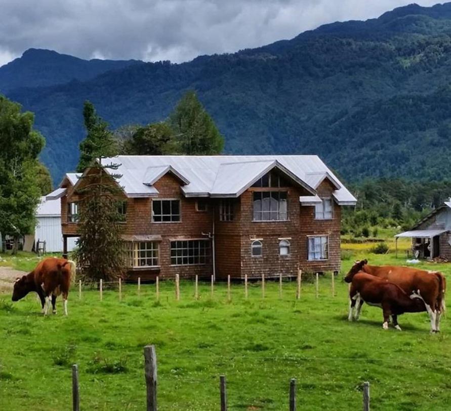 Tepaluma B&B La Junta Bagian luar foto